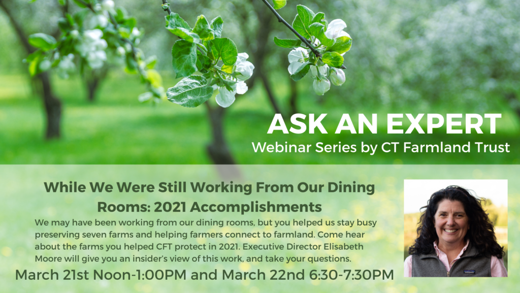 Catch up with CFT - Ask An Expert Webinar Series @ your home or office