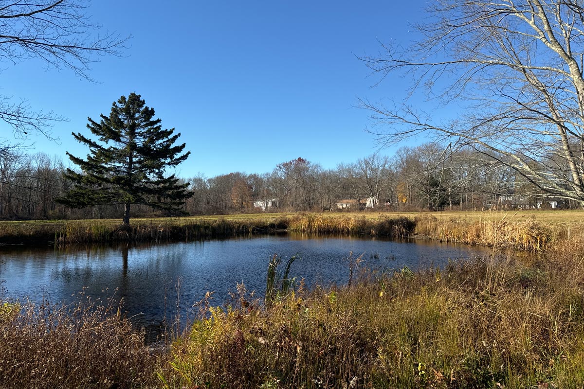 pond in the fall