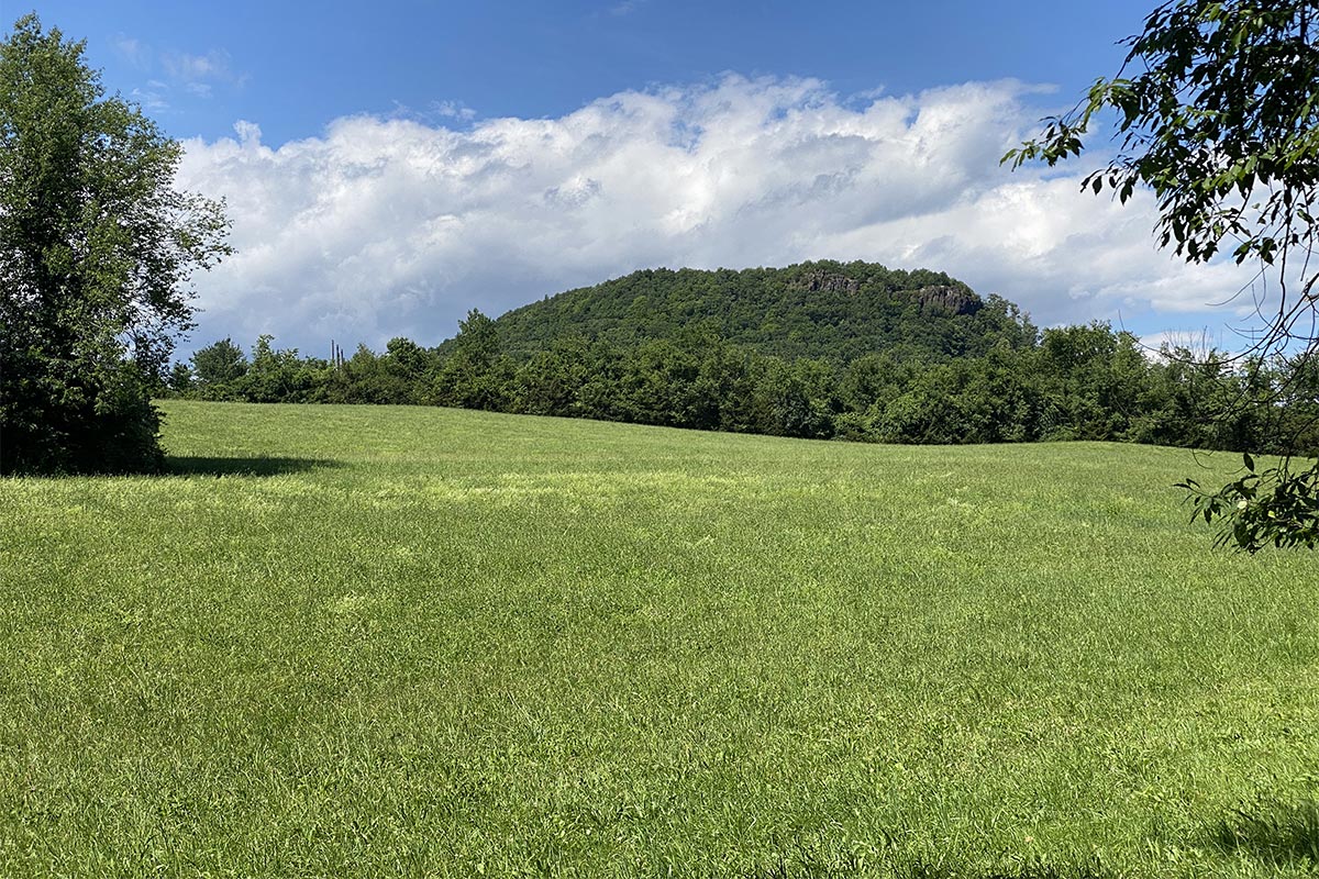 Fields with billowing clouds