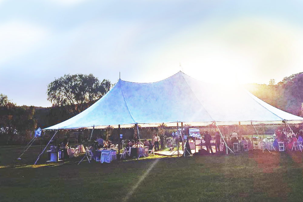 celebration under the tent