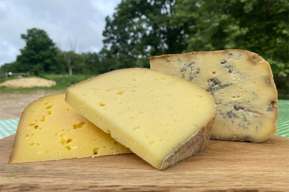 Cheese