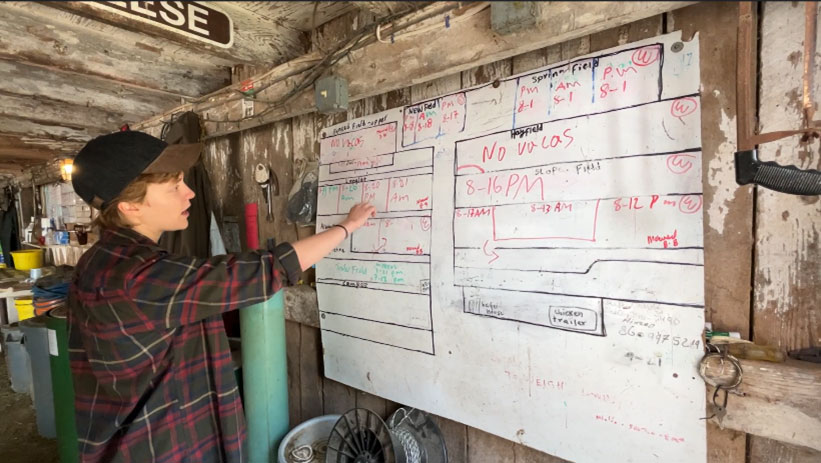 Feeding and mucking schedule
