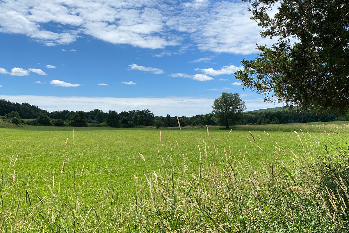 Vista View Of Fields