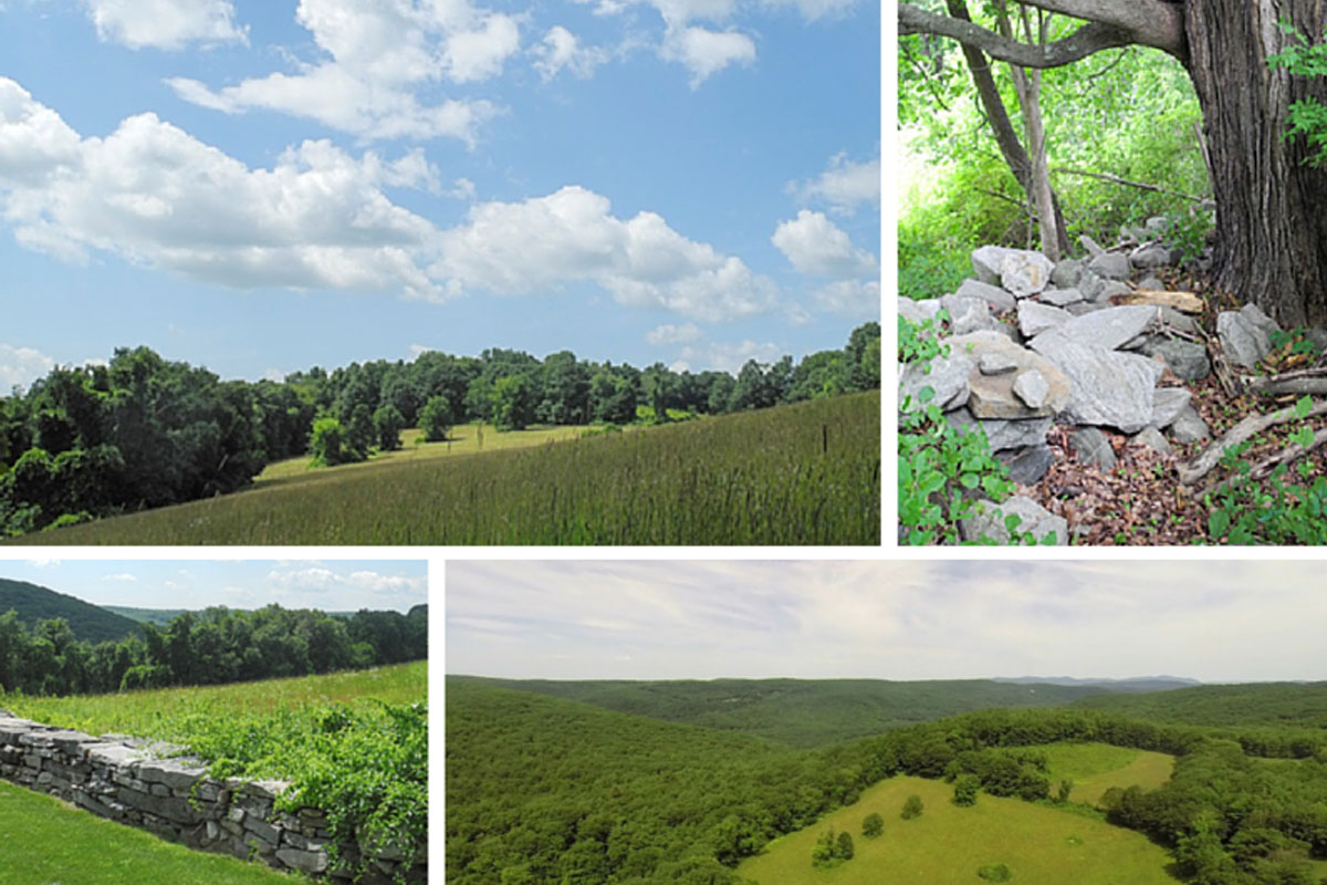 Collage of parts of the farm