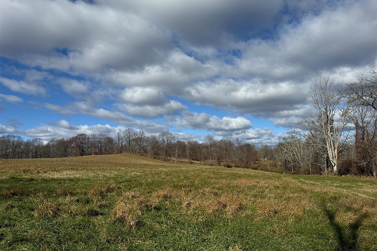 rolling field in the fall