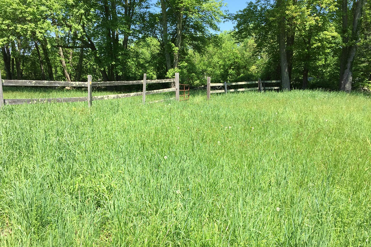 Field With Fence