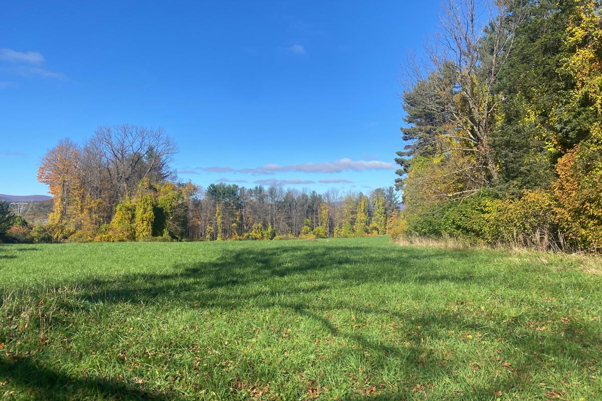 Fields in the fall