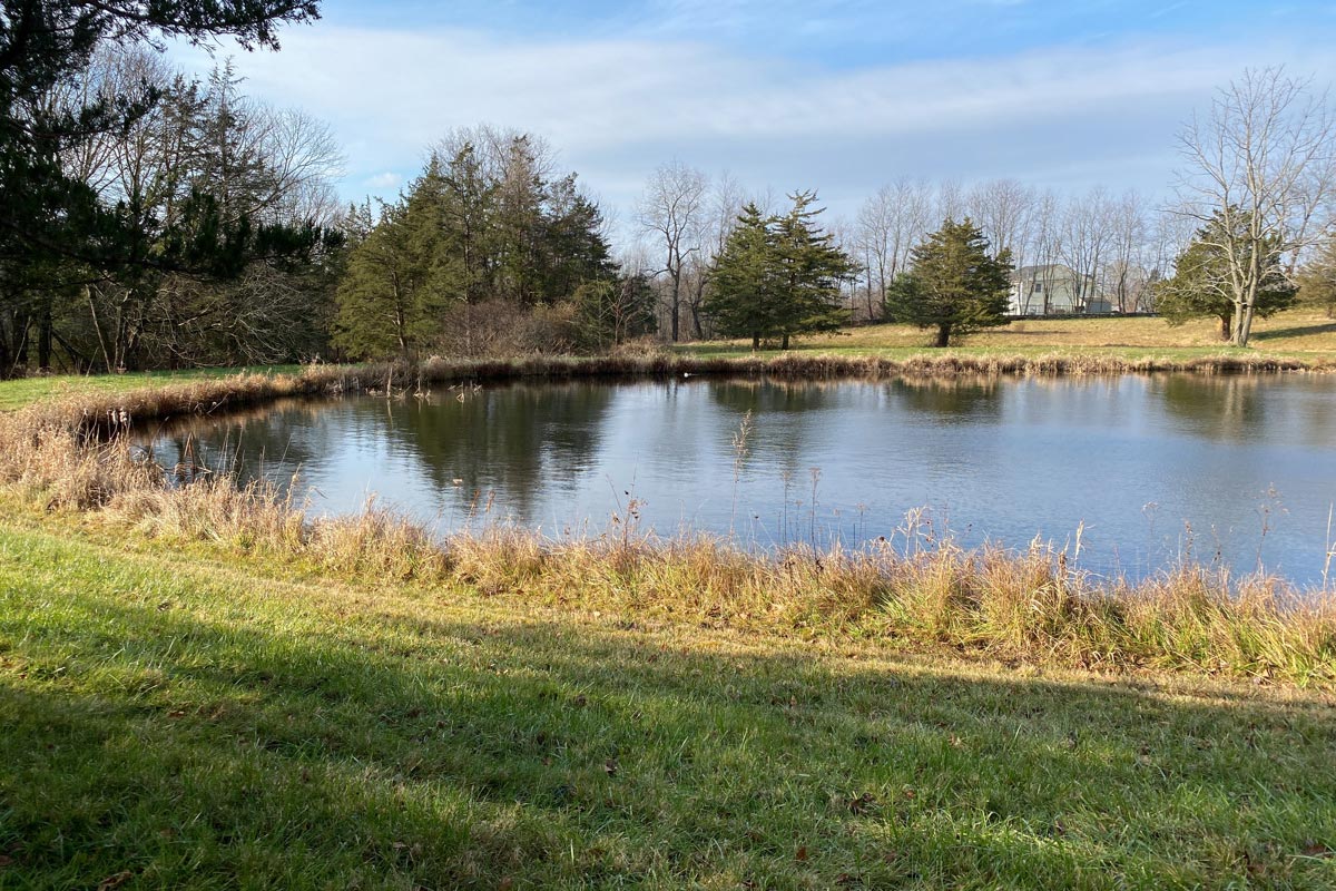 pond