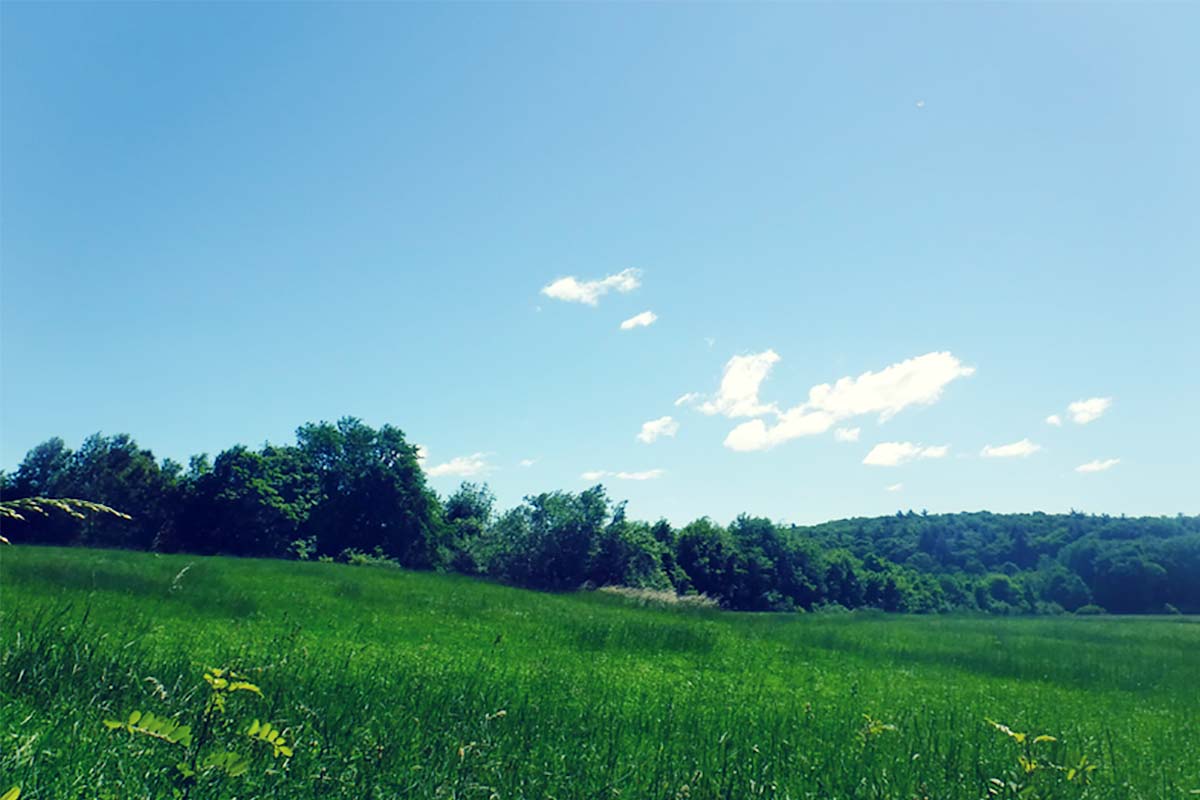Tolland County Agricultural Center
