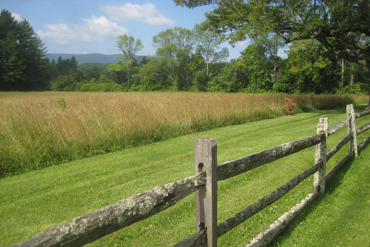 Field Fence