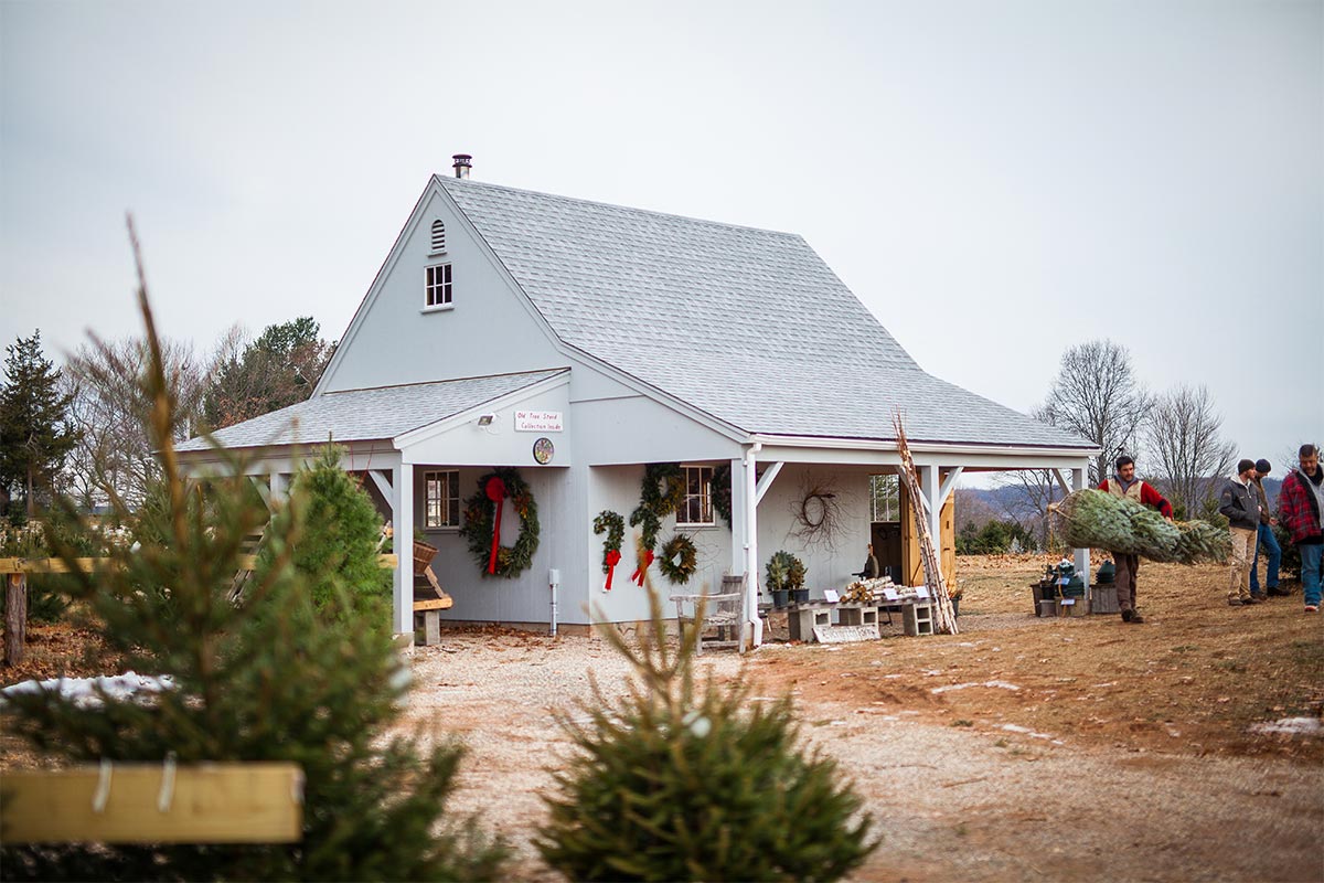 Tree farm stand with wreathes, garland, and evergreen trees