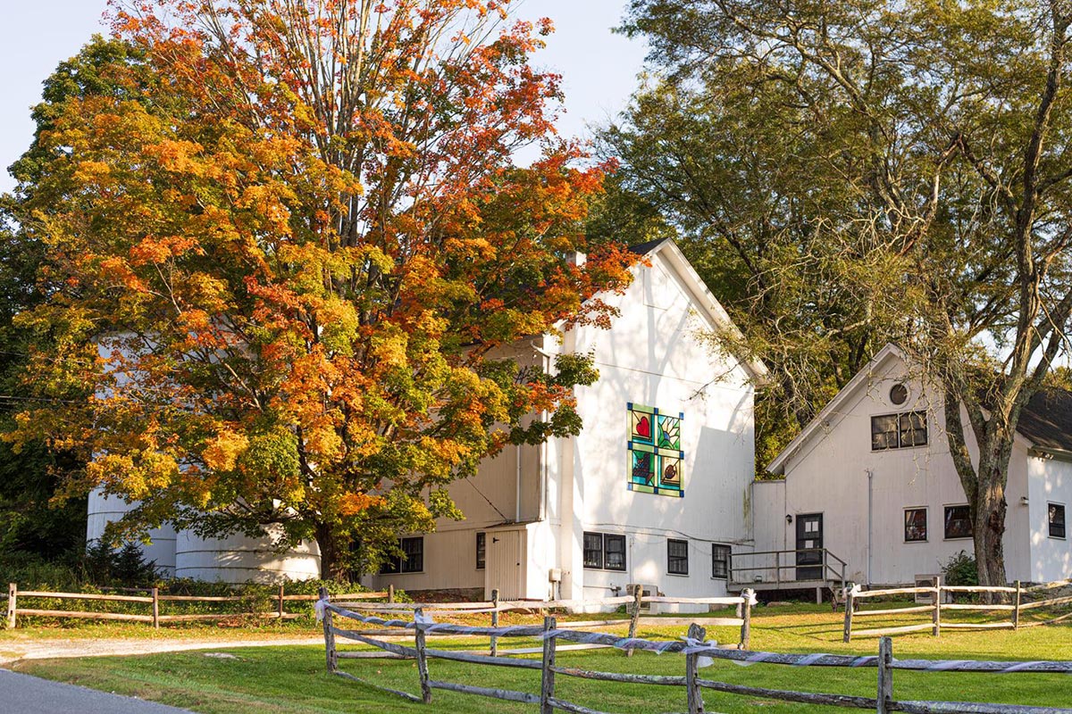 white barn and buildings