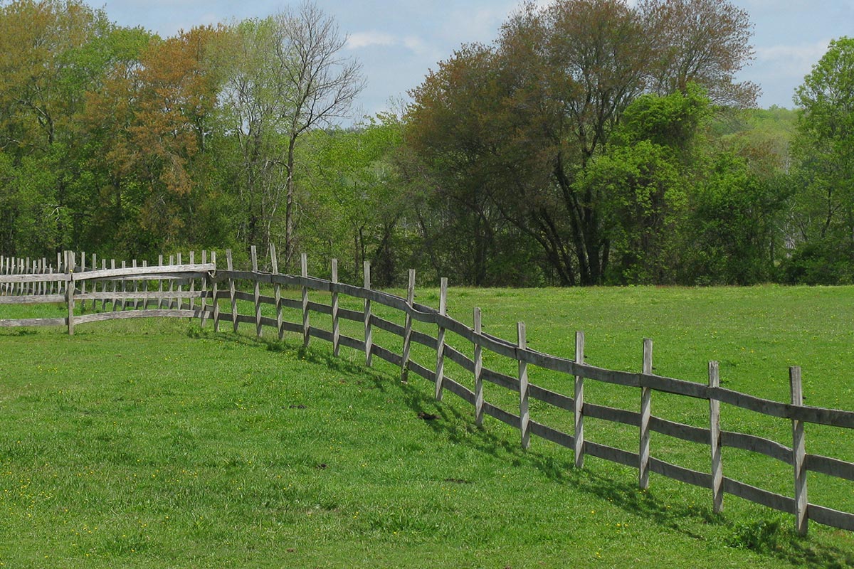 Winding Fence through fields