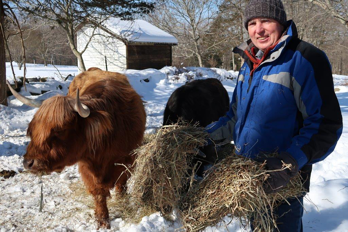 Scott McCall With His Herd