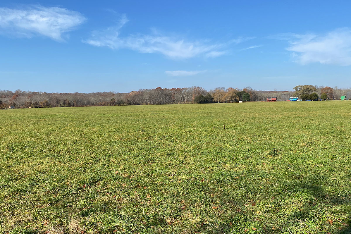 Wide Field View