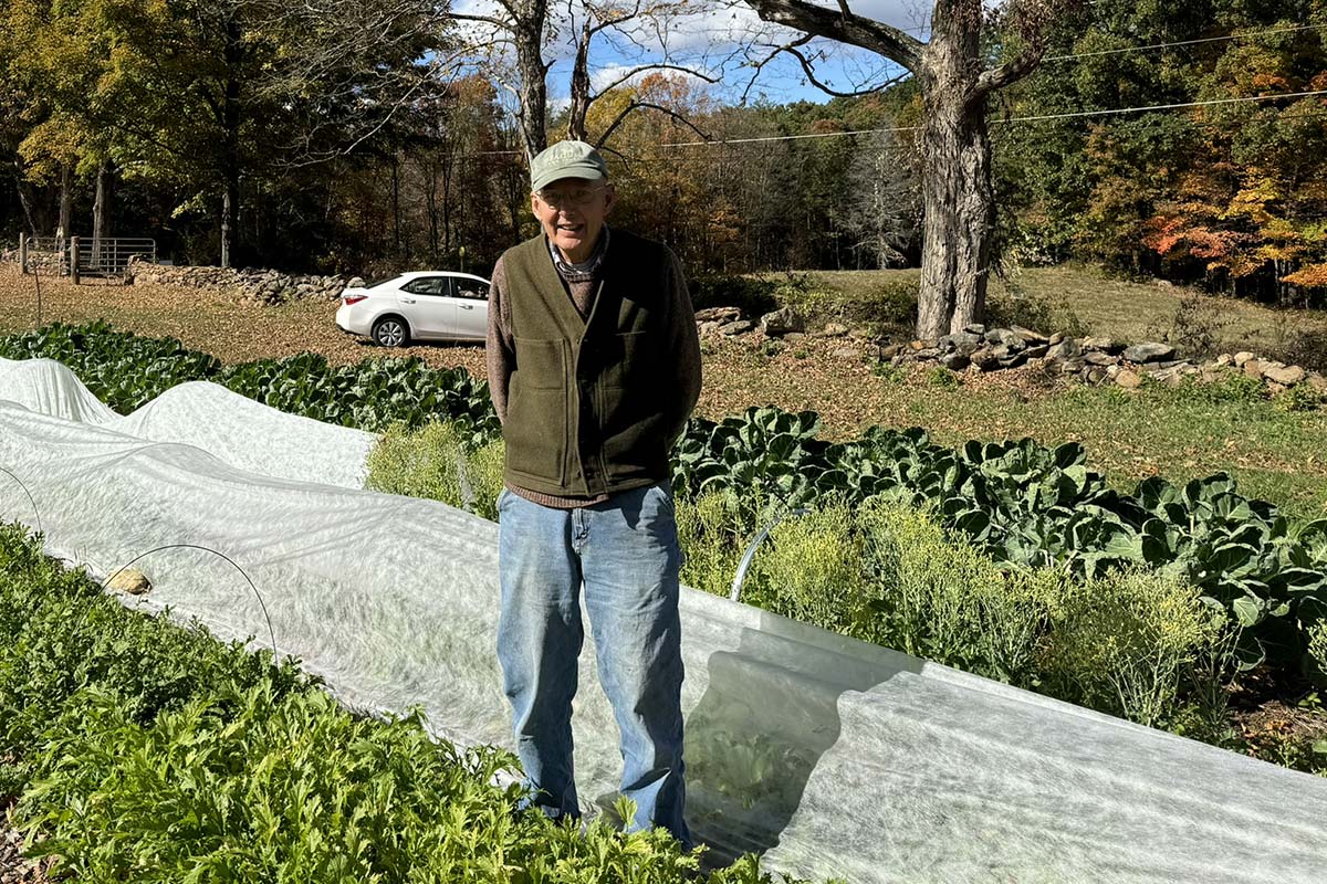 standing amongst the vegetables