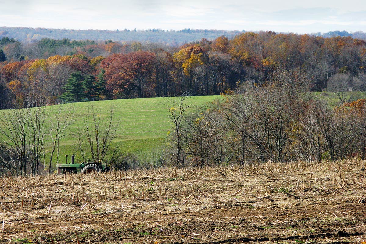 fields in the fall