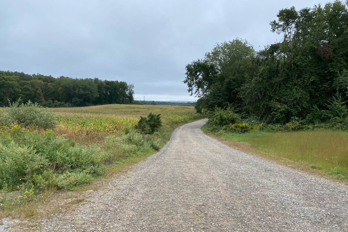 Road Between Fields