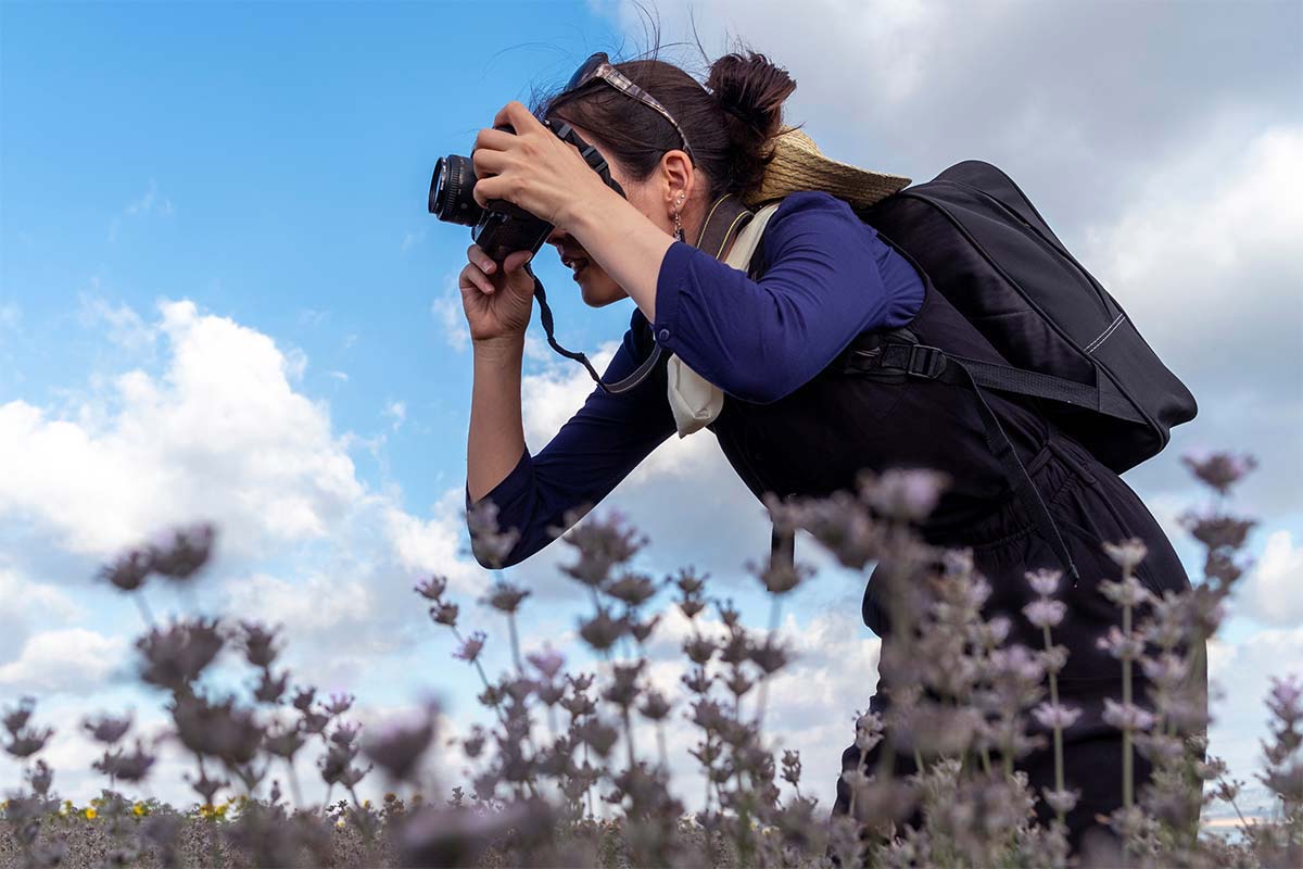 a photographer in a lavender field taking photos