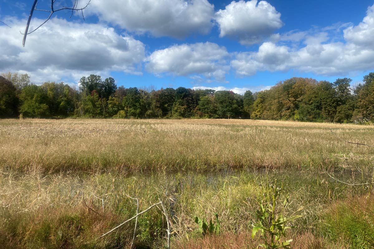 late fall field