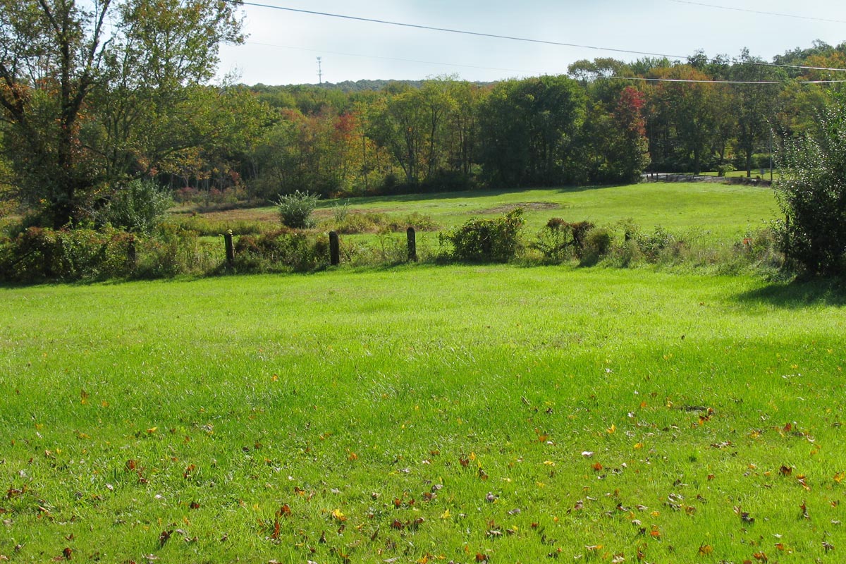 later summer fields