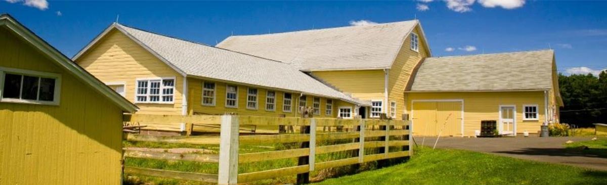 Several yellow painted barns