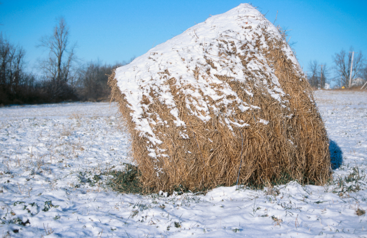 bale of hay in the snow