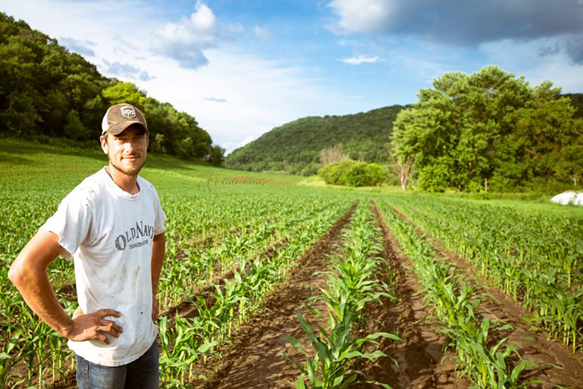 Working Lands